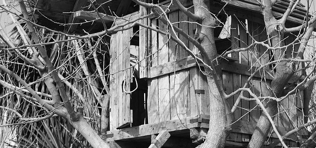 De boomhut: trek je terug in de natuur De boomhut: trek je terug in de natuur