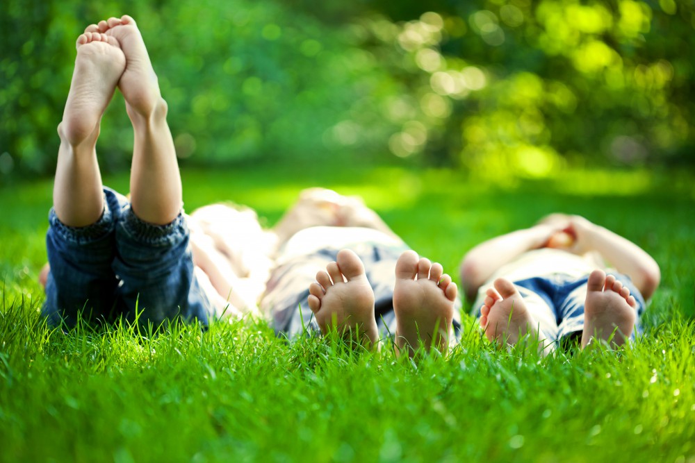 Kinderen in gras